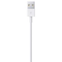 Apple Lightning naar USB-kabel - 0,5 meter